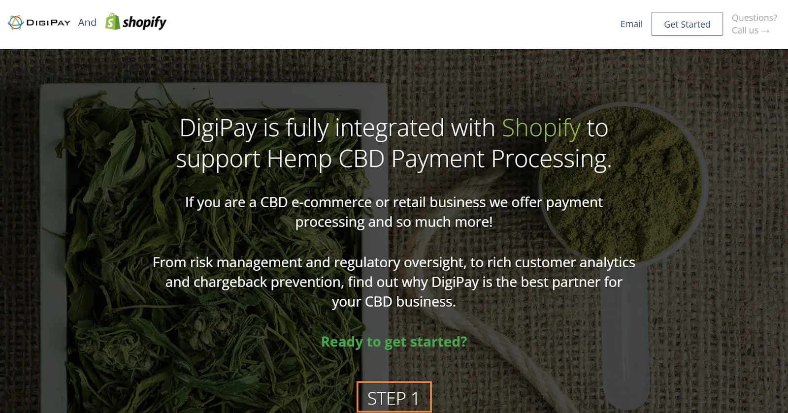 DigiPay